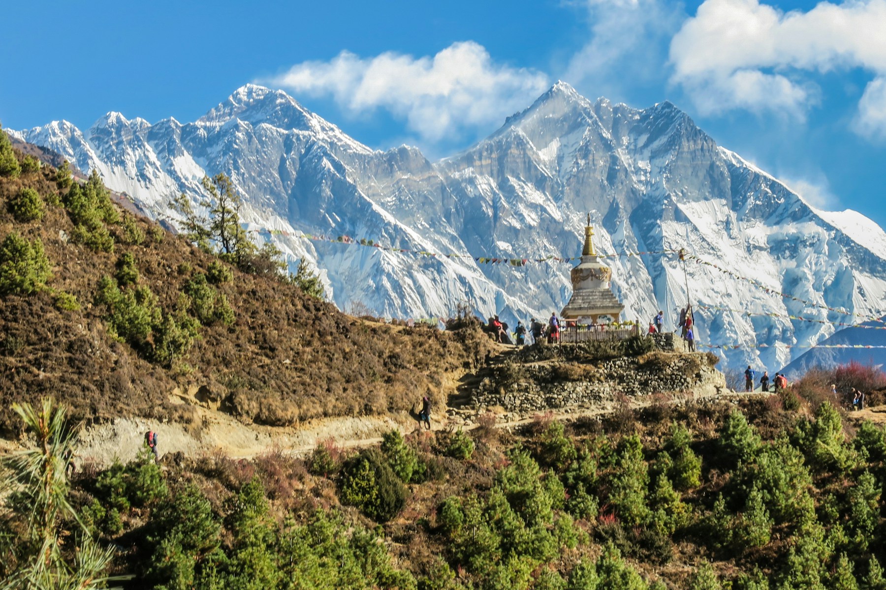 Himalayan mountain panorama